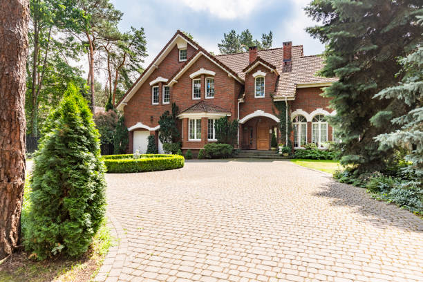 Best Local Driveway Pavers  in Mill Plain, CT